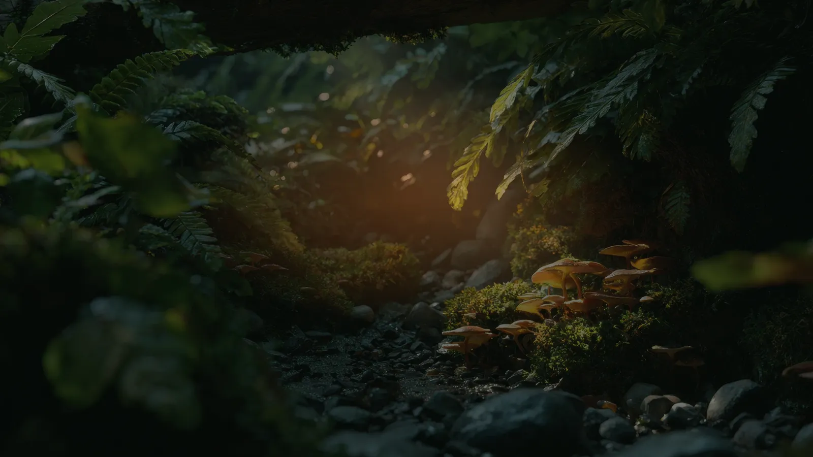 Mushrooms found in North Idaho