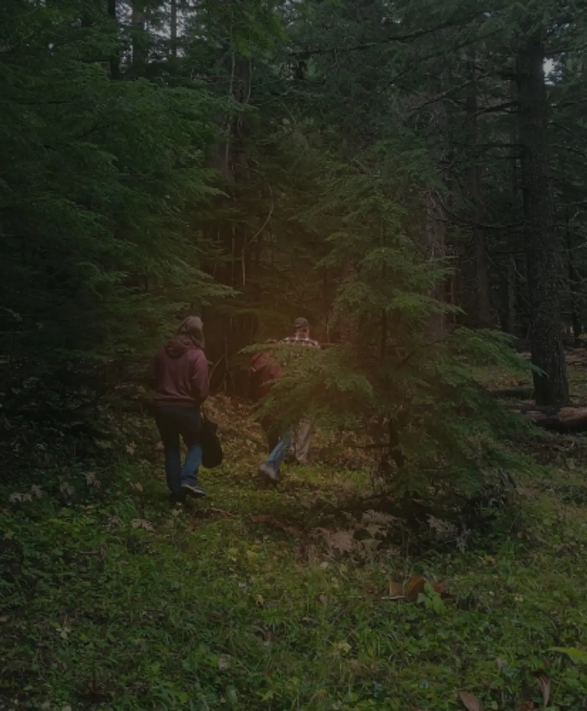 NIMA members on a foray