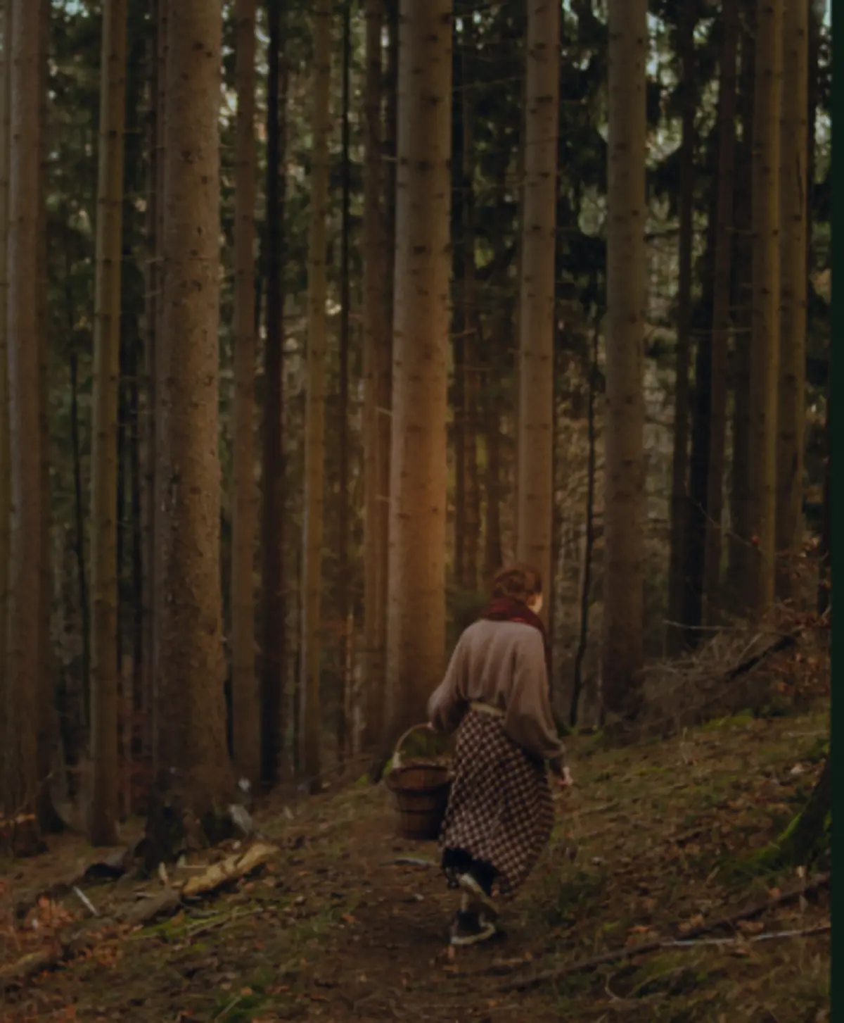 NIMA members on a foray