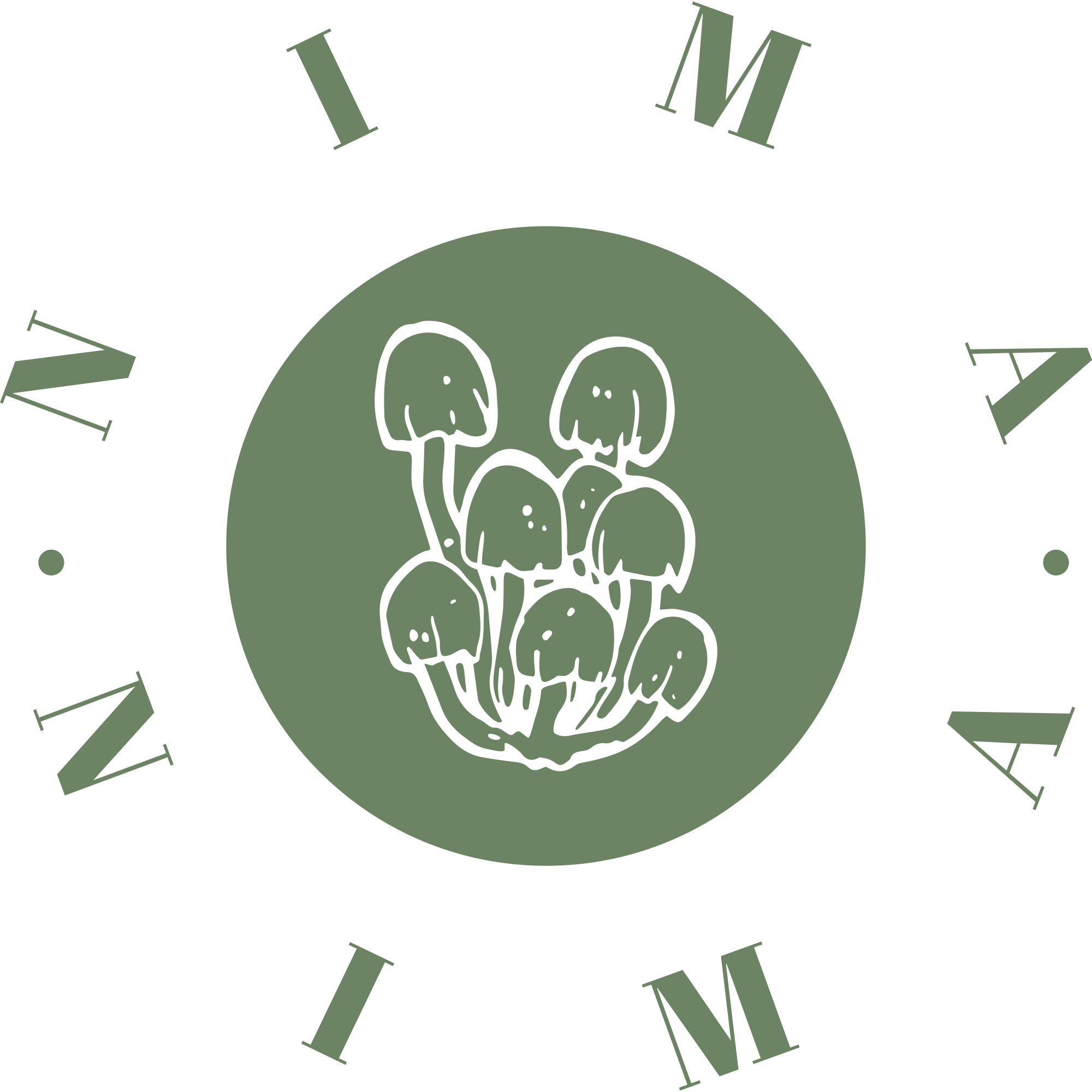 NIMA logo/Home button